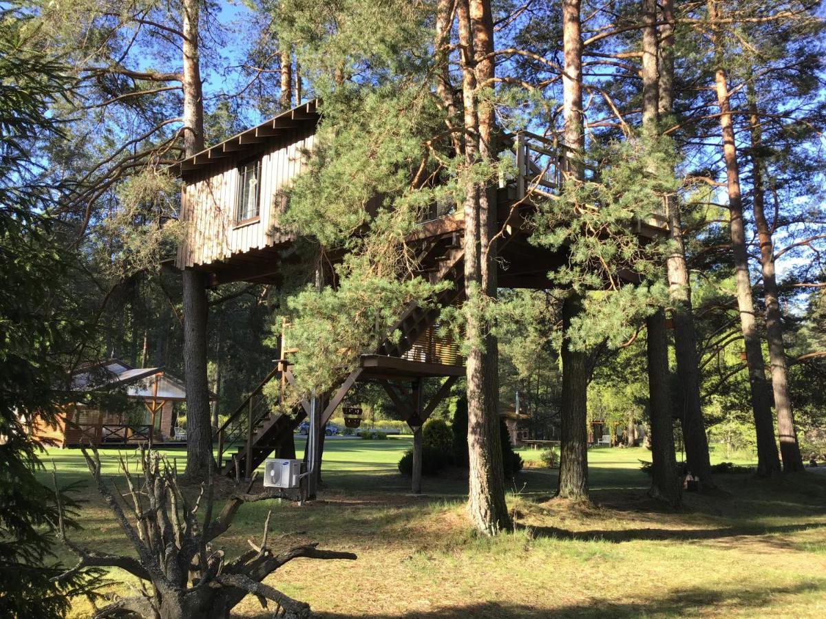 Treehouse Ciekurs Villa Dukuri Exterior photo